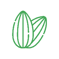 Elaisian agricultura agriculture almond agricultor Sticker