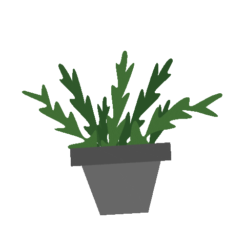 onlyfrond giphyupload plant plants houseplant Sticker