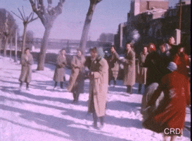 Snow Nieve GIF by CRDI. Ajuntament de Girona