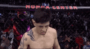 Sport Mma GIF by UFC