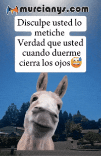 Humor Cierra GIF by Murcianys LLC