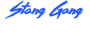 Cheerleading Mustangs Sticker by Mustang Cheer