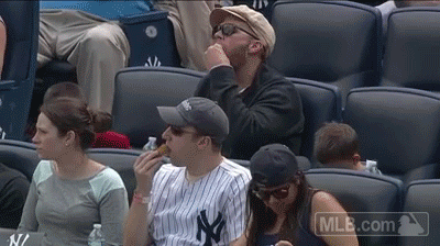 nyy GIF by MLB