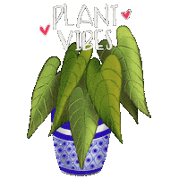 Plants Sticker