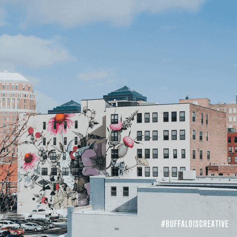 Pollinate Buffalo Ny GIF by Wonder Brink