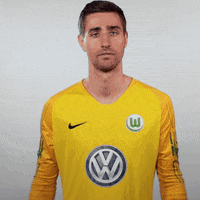 world cup football GIF by VfL Wolfsburg