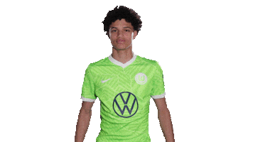 Loving In Love Sticker by VfL Wolfsburg