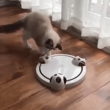 Fannab giphygifmaker GIF