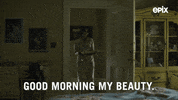 GIF by Godfather of Harlem