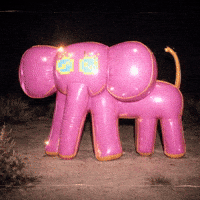 Acid Tripping GIF by The LSD Hotel