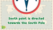 South Pole Direction GIF