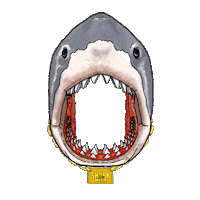 Excited Scream Sticker by Shark Week