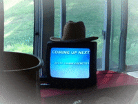 Tv Cowboy GIF by jOnNy'S wOrLd