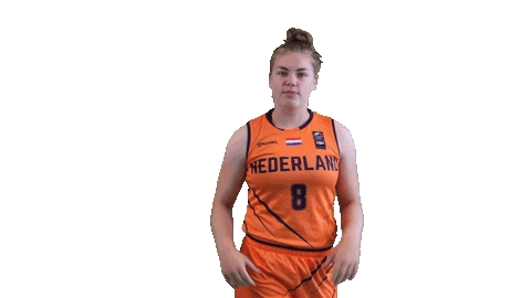 NLbasketball orangelions Sticker