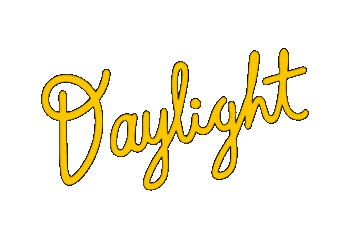 Taylor Swift Typography Sticker