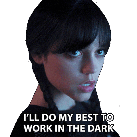 Addams Family Wednesday Sticker by NETFLIX