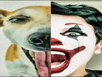 danielgontijo coringa gontijo daniel gontijo coringando GIF