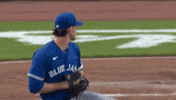 Blue Jays Baseball GIF by Toronto Blue Jays