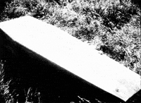 Death Coffin GIF by hoppip