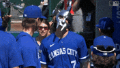 Major League Baseball Sport GIF by Kansas City Royals