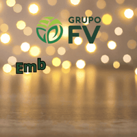 grupofvcereais grupofv fvcereais grupofvcereais GIF