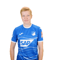Fussball Sticker by TSG Hoffenheim
