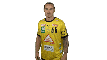 Handball-Bundesliga Handball Sticker by LIQUI MOLY HBL