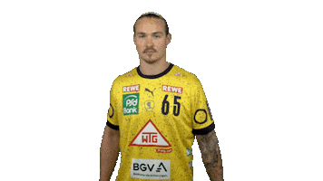 Handball-Bundesliga Handball Sticker by LIQUI MOLY HBL