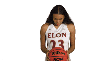 ElonPhoenixAthletics elon phoenix elon basketball Sticker