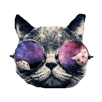 cat party STICKER by imoji