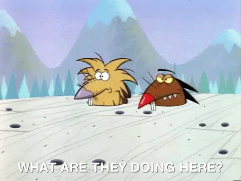 angry beavers nicksplat GIF