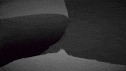 youtube animation GIF by Channel Frederator