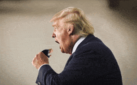 recursive donald trump GIF