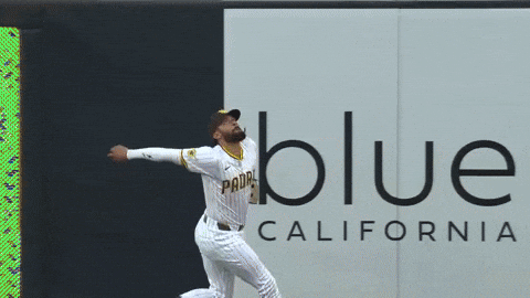 San Diego Padres Sport GIF by MLB