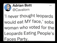 Politics Voting GIF