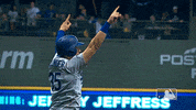 arms GIF by MLB