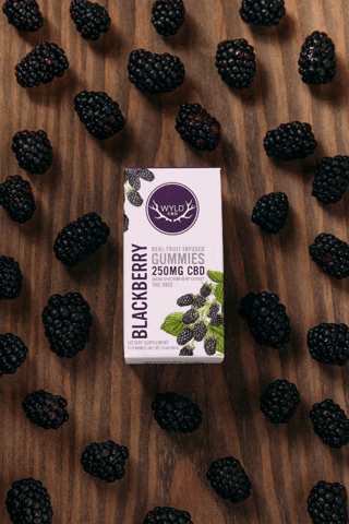 Wyld cbd blackberry wyld cbd gummies GIF