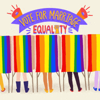 Illustrated gif. People side by side in voting booths with rainbow Pride curtains, orange and purple banner and bullhorns with emphatic action marks above read, "Vote for marriage equality."
