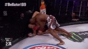GIF by Bellator