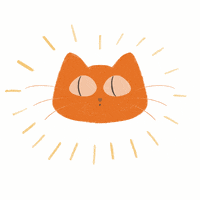 KacieKC cat silly kaciekc silly time GIF