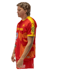 lesvikingsdecaen handball proligue caenhandball lesvikingsdecaen Sticker