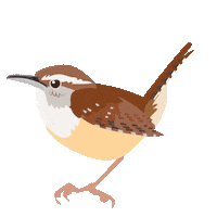 Sing Wake Up Sticker