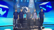 Team Esports GIF by BLAST