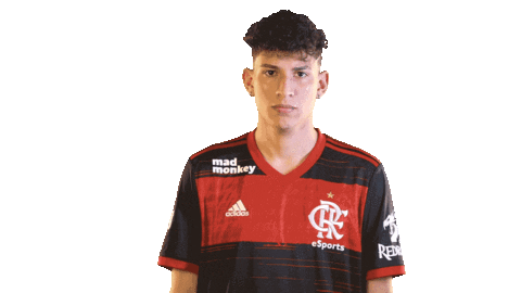 flamengoesports giphyupload flamengo lbff b4 Sticker