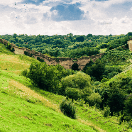 kirk-shaw giphygifmaker giphyattribution GIF