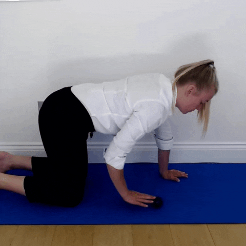 Fiona4233 giphygifmaker GIF