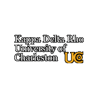 Zoom Charleston Sticker by Kappa Delta Rho