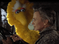 Driving Sesame Street GIF by Bell Brothers
