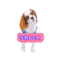 キャバリア Sticker