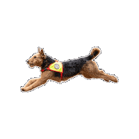 Rettungshund Sticker by Österreichische Rettungshundebrigade